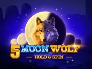Winoui Casino screenshot